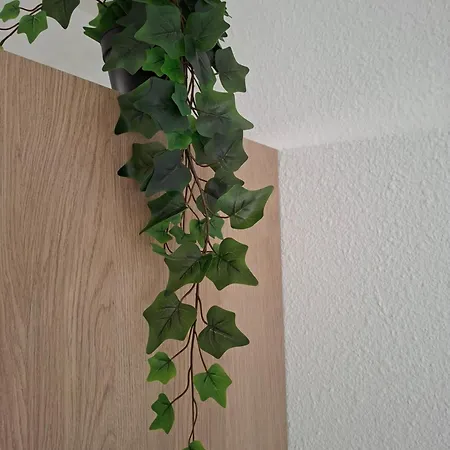 Neuf Proche Nantes Avec Parking Carquefou