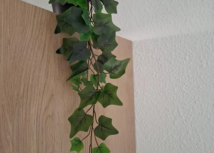 Neuf Proche Nantes Avec Parking 卡尔克富